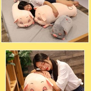 [RẺ VÔ ĐICH] HEO LIM DIM KHỔ 1M2