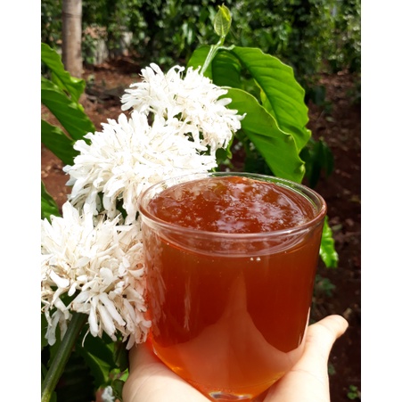1 Lít Mật ong hoa cà phê Đắk Lắk Cam Kết Nguyên Chất