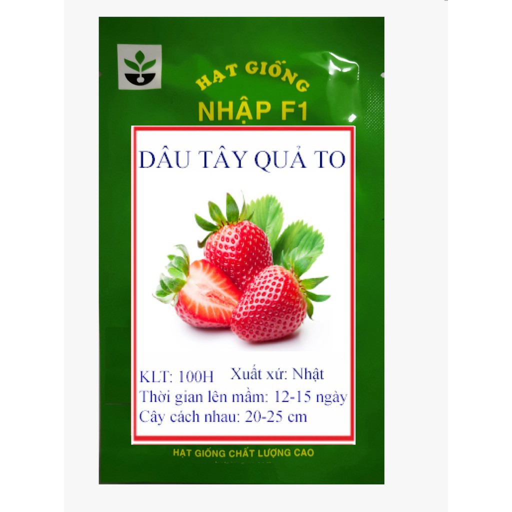 Gói 100 hạt giống quả dâu tây quả to chịu nhiệt MUA TỪ 58K TẶNG 2 GÓI SẢN PHẨM HẠT GIỐNG