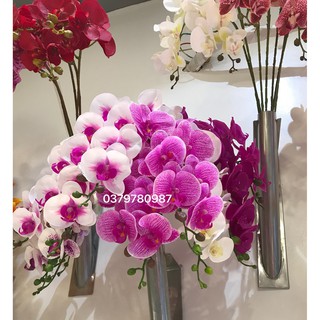Hoa giả - Lan hồ điệp cao su 7 bông hồng gân