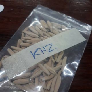 Gói 10 Hạt sứ thái Kim tự tháp