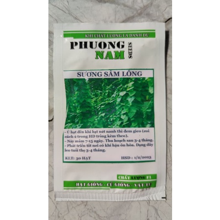 Hạt giống lá sương sâm lông 30 hạt HOT