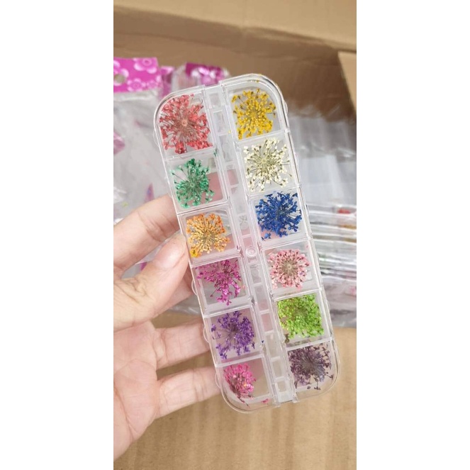 Khay hoa khô làm móng siêu đẹp làm móng