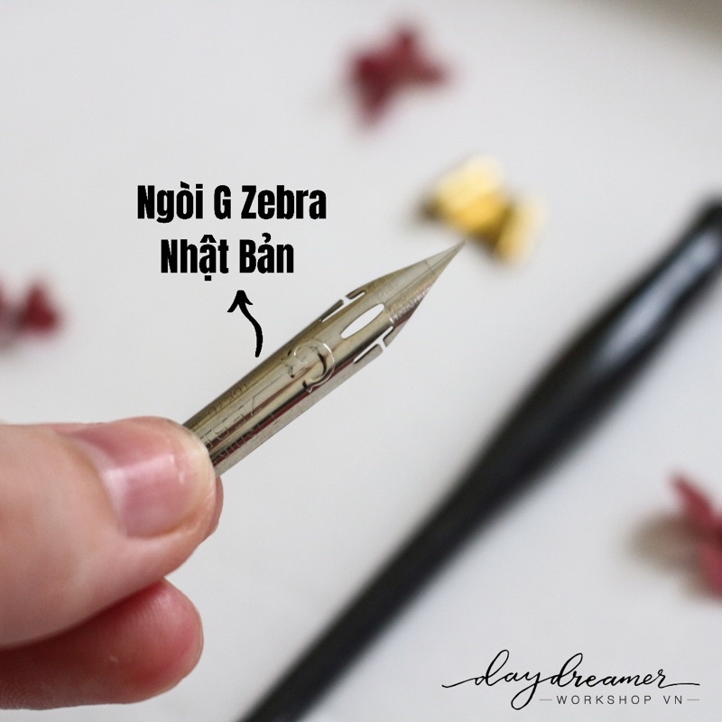 Ngòi bút viết chuyên dụng Calligraphy - Ngòi G Zebra Nhật Bản