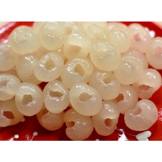 Nhãn Ngâm Đóng Lon 565g