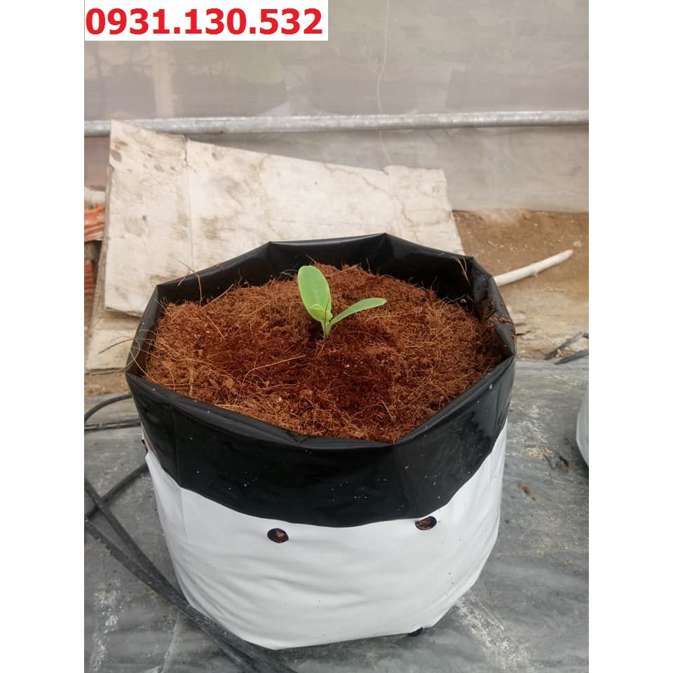 Túi trồng cây nilong 2 lớp