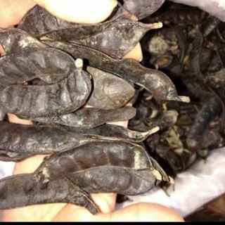500g trái bồ kết khô