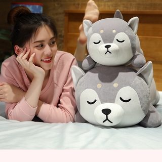 35/50cm Husky Pillow Stuffed Toys Gray white cute plush gifts birthday gift kids toy Ready Stock Plush Toy Super Soft Comfortable Stuffed dolls Animals