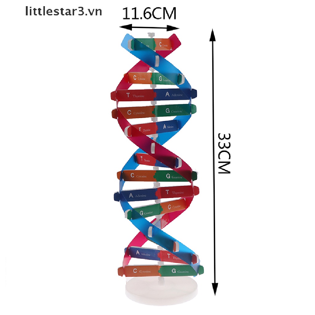 Mô Hình Khoa Học Dna Genetic