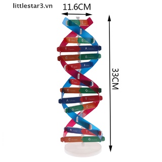 Mô Hình Khoa Học Dna Genetic