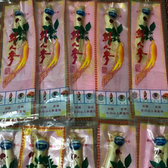 Nhân sâm tươi núi Trường Bạch 100gr/củ hút chân không