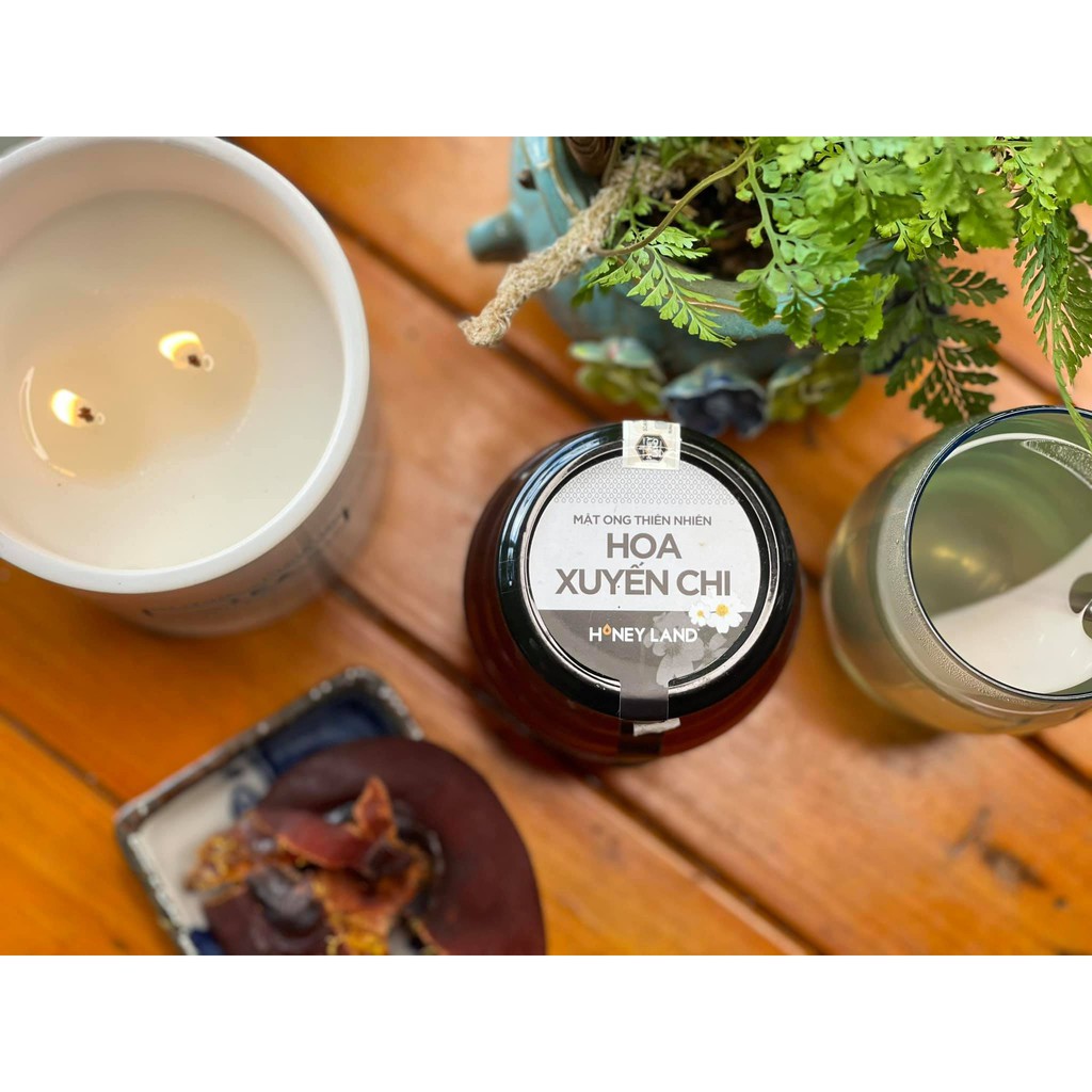 Mật ong rừng hoa Xuyến Chi HONEYLAND Hũ 500G mật ong thiên nhiên nguyên chất