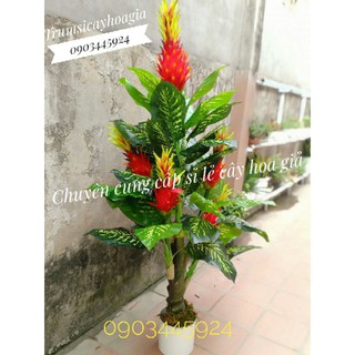 Cây Thanh Long 5 đầu cao 1m8- Cây Giả
