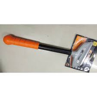 SỦI SƠN CÁN DÀI KAPUSI