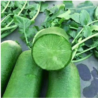 Hạt Giống Củ Cải Đường Xanh Kèm Kích Mầm và quà tặng