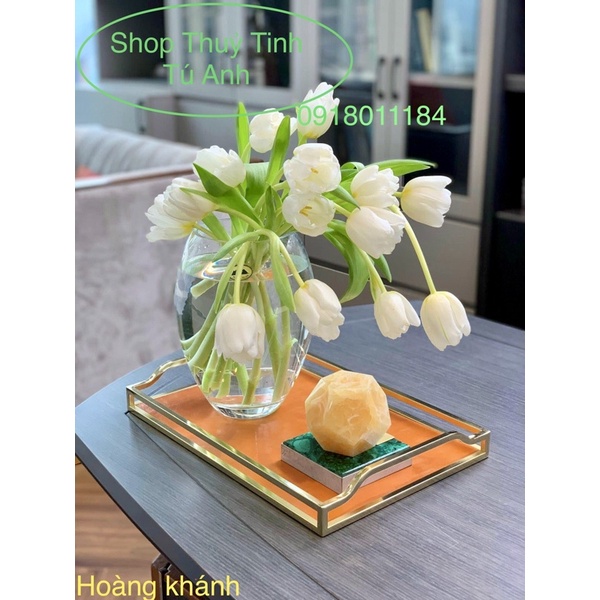 $ Lọ Thủy Tinh Hình chum Nhiều kích thước... Cắm hoa - Trồng cây thuỷ sinh kèm tặng nơ- lọ hoa mầu - lọ hoa búp
