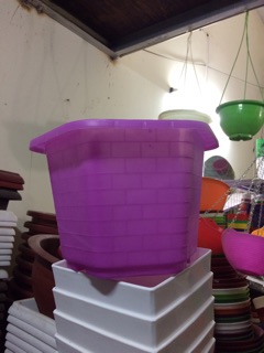Chậu lục giác