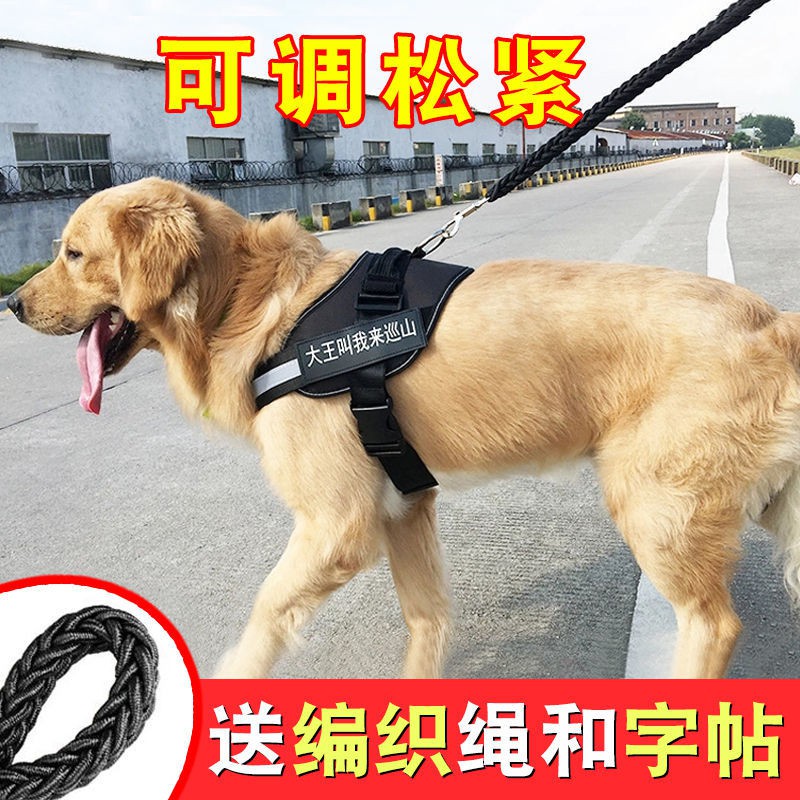 ❈Dây đeo ngực cho chó Cún nhỏ xích Vest Phong cách Golden Retriever vừa và lớn Đi bộ Alaska [Gửi vào ngày 28 th