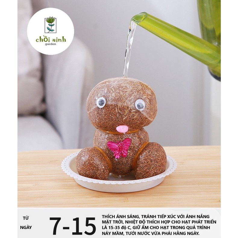 Búp Bê đầu cỏ mini trang trí phòng bàn làm việc dễ thương