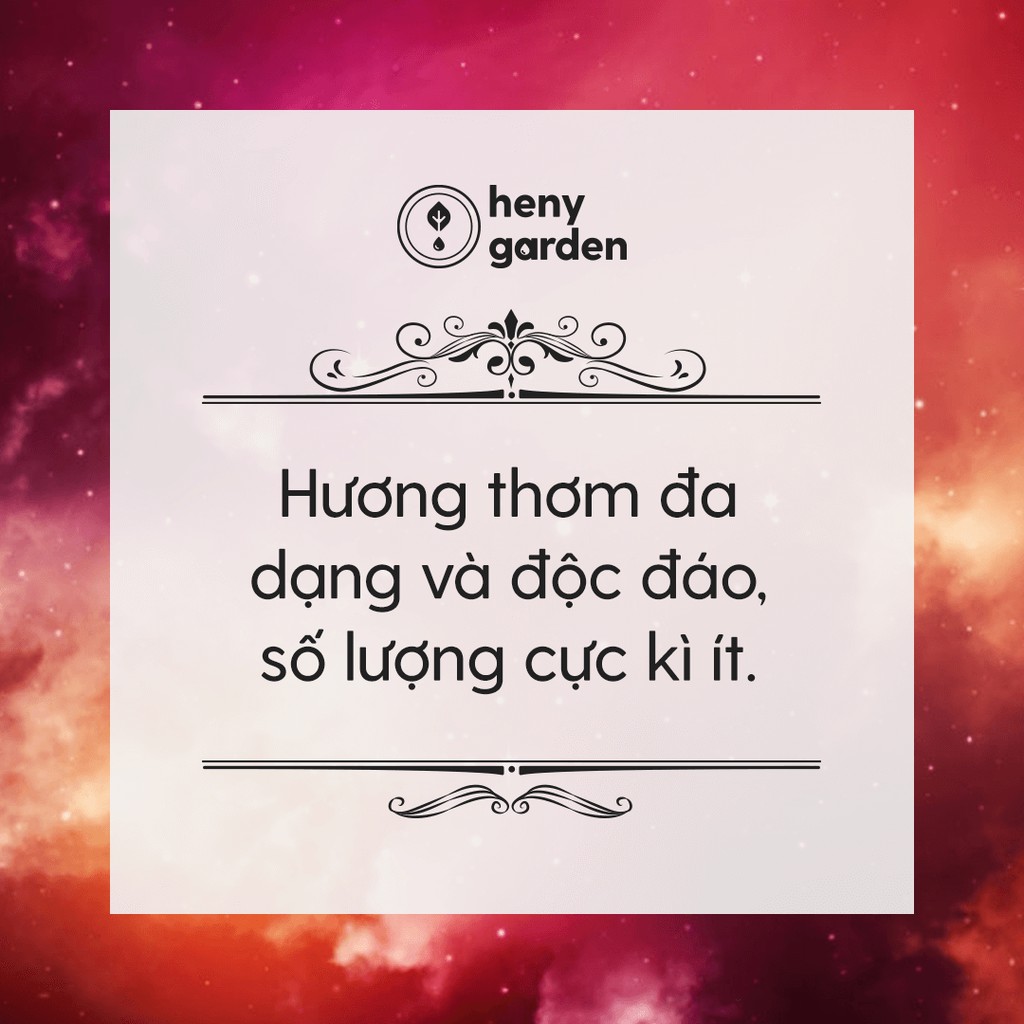 SIZE LỚN 100ML TIẾT KIỆM - [15 LOẠI] Tinh Dầu Thiên Nhiên Nhóm Hoa &amp; Gỗ (Floral &amp; Woody Scent)