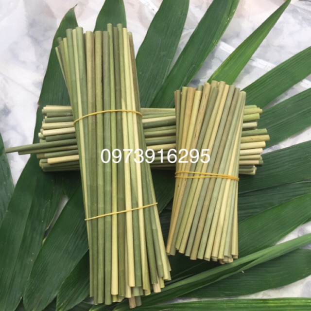 Combo 500 ống hút cỏ bàng