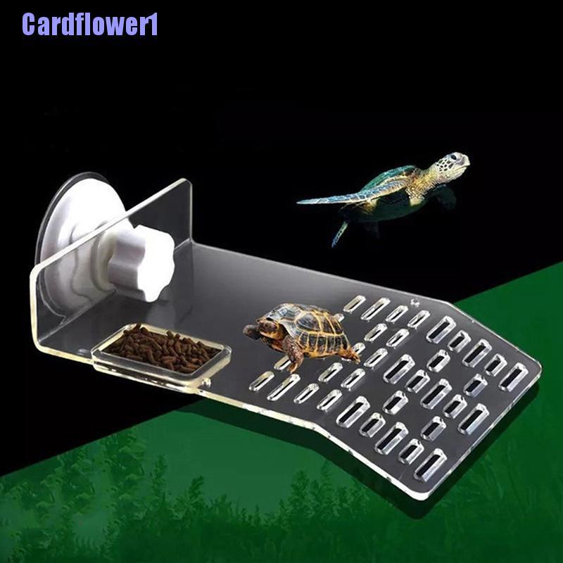 Đế Nhựa Acrylic Dập Nổi Trên Bề Mặt Nước Tiện Lợi Dành Cho Rùa