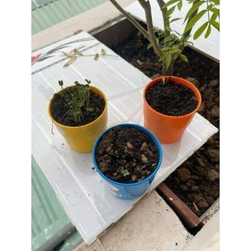 Bộ đồ chơi làm vườn Grow