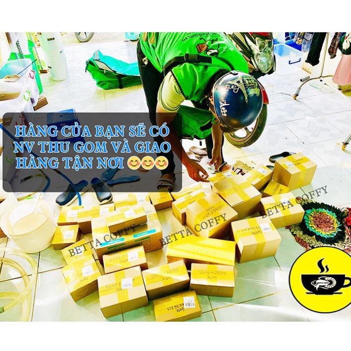 🥣 Artemia Sấy Khô Dạng Bột Cho Cá  BETTA COFFY ☕️