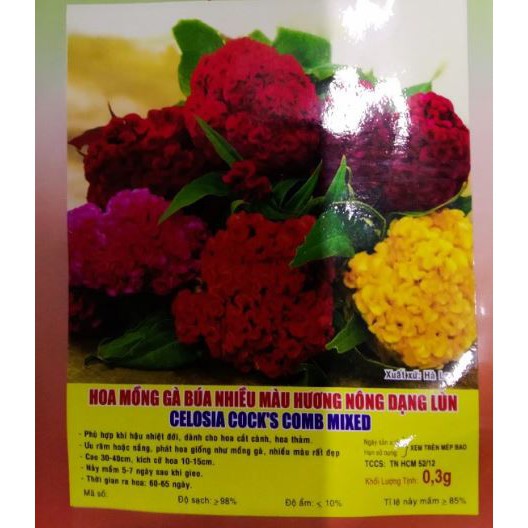 HẠT HOA MỒNG GÀ BÚA NHIỀU MÀU THÂN LÙN - GÓI 0,3 GRAM