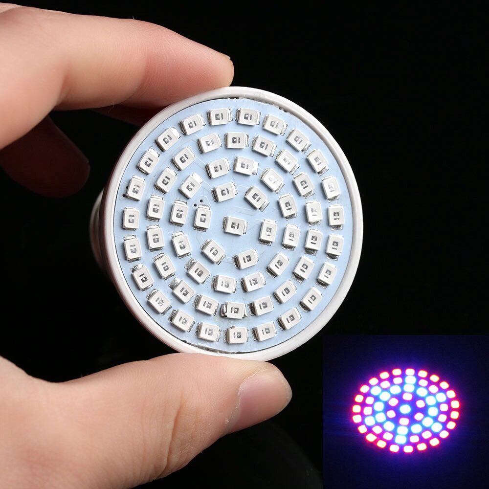 Đèn LED trồng cây quang phổ 60 bóng màu đỏ/xanh dương