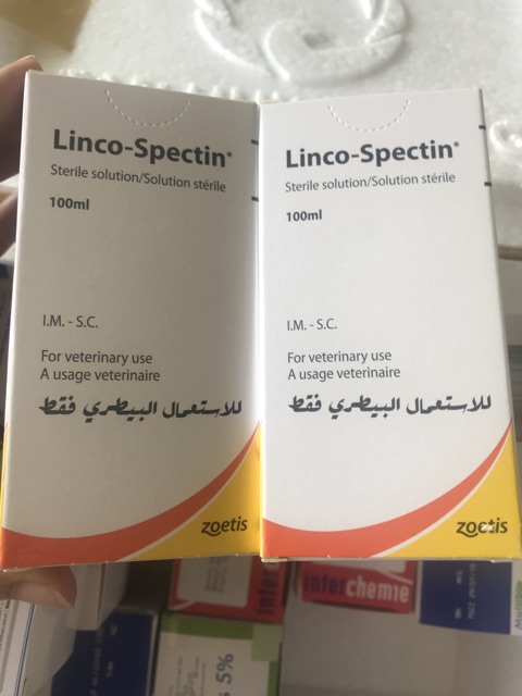 LINCO-SPECTIN 100ml Sản phẩm tối ưu cho gà đá, heo, chó, mèo.