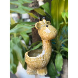 Chậu trồng sen đá, chậu cây tiểu cảnh, chậu tiểu cảnh mini - CHẬU HƯU MEN LỢT