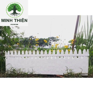 Chậu hàng rào lớn 60cm×18cm×21cm