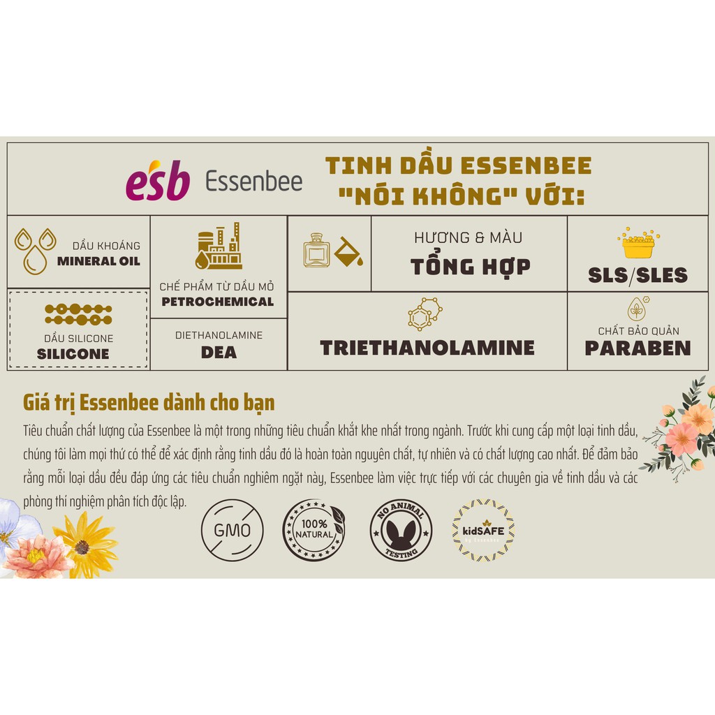 Tinh dầu Gừng – Essenbee – 20ml