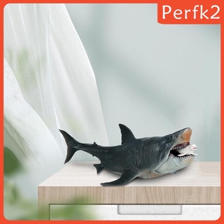 Mô hình cá mập Megalodon chân thật
