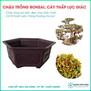 Chậu Trồng Bonsai, Cây Thấp Nhựa Lục Giác Kích Cỡ 21x8cm / 27x11cm / 38x17cm