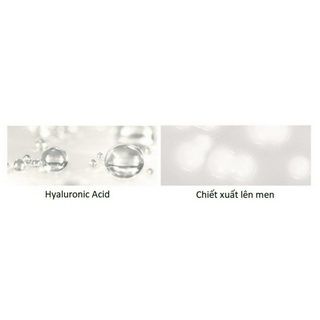Kem Dưỡng Cấp Nước Sáng Da AHC Capture Moist Solution Max Cream