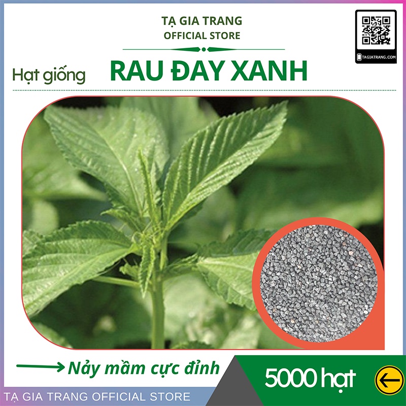 Hạt giống rau đay trắng (rau đay xanh) - Shop hạt giống Tạ Gia Trang