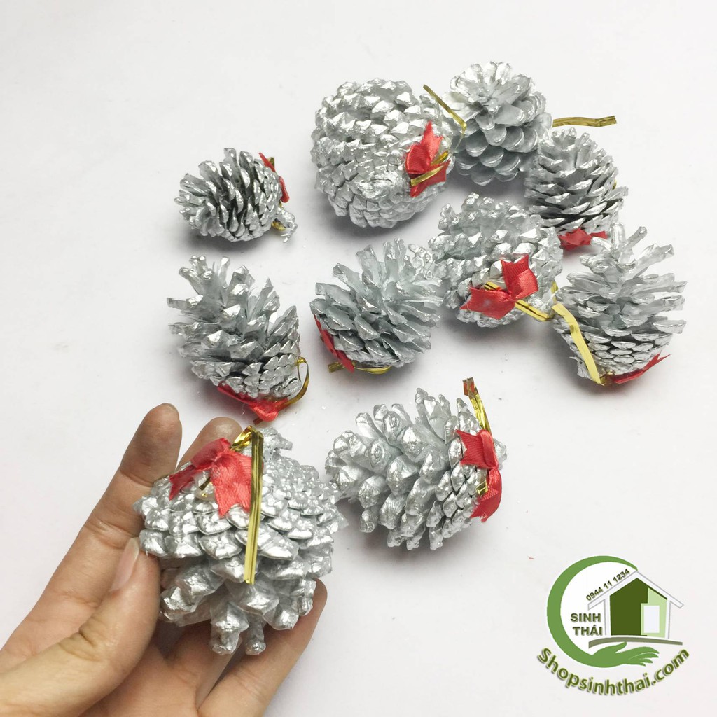 Quả thông khô tự nhiên nhiều màu - quả nhỏ - chọn màu