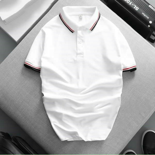 Áo Thun Polo Vải Cá Sấu Cao Cấp - Aster Việt Nam