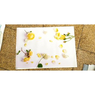 Thảm 3d chụp hình sản phẩm