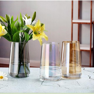 Bình hoa thủy tinh cắm hoa màu trang trí đẹp