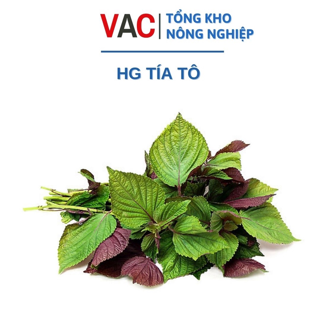 Hạt giống tía tô