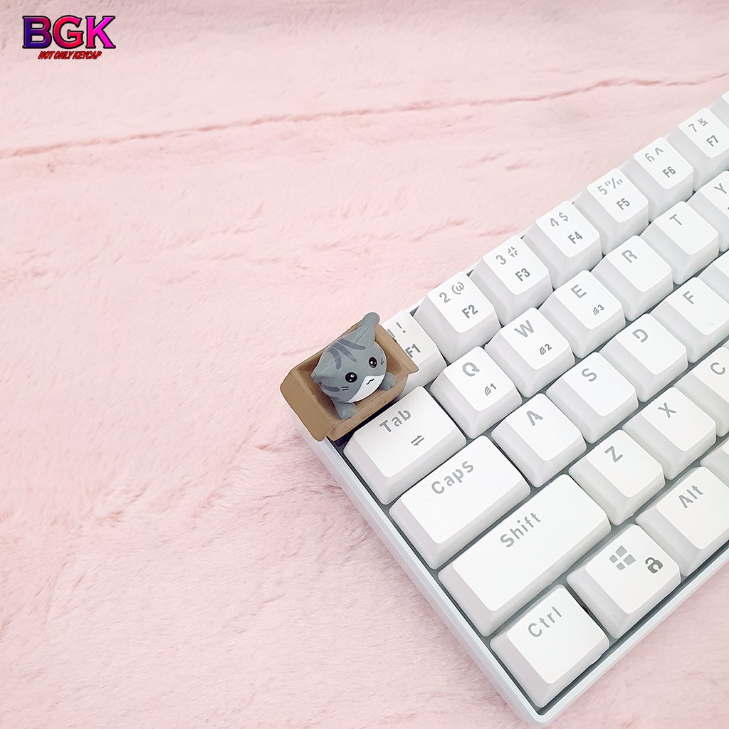 Keycap lẻ hình Mèo Con Trong Hộp siêu dễ thương Keycap Artisan