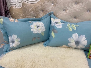 Vỏ gối cotton Hàn Quốc