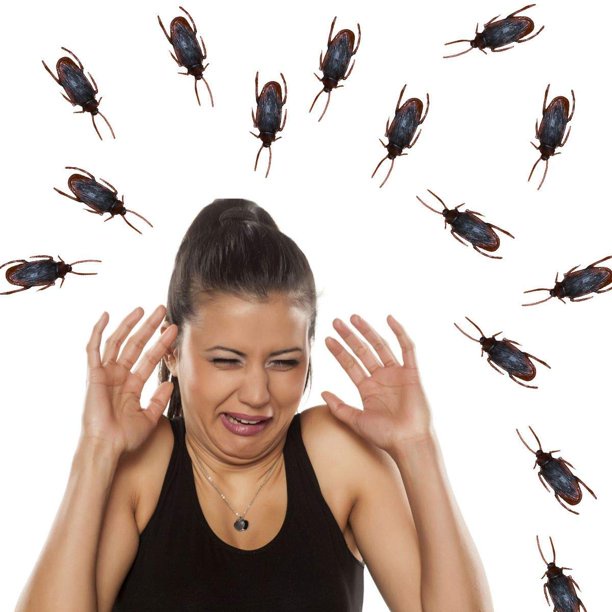 💥HÀNG CÓ SẴN💥 Con Gián Giả Đồ Chơi Côn Trùng Giả Cho Trẻ em Boss Chó Hoàng Thượng Mèo 💥CHỌN MẪU💥 001564