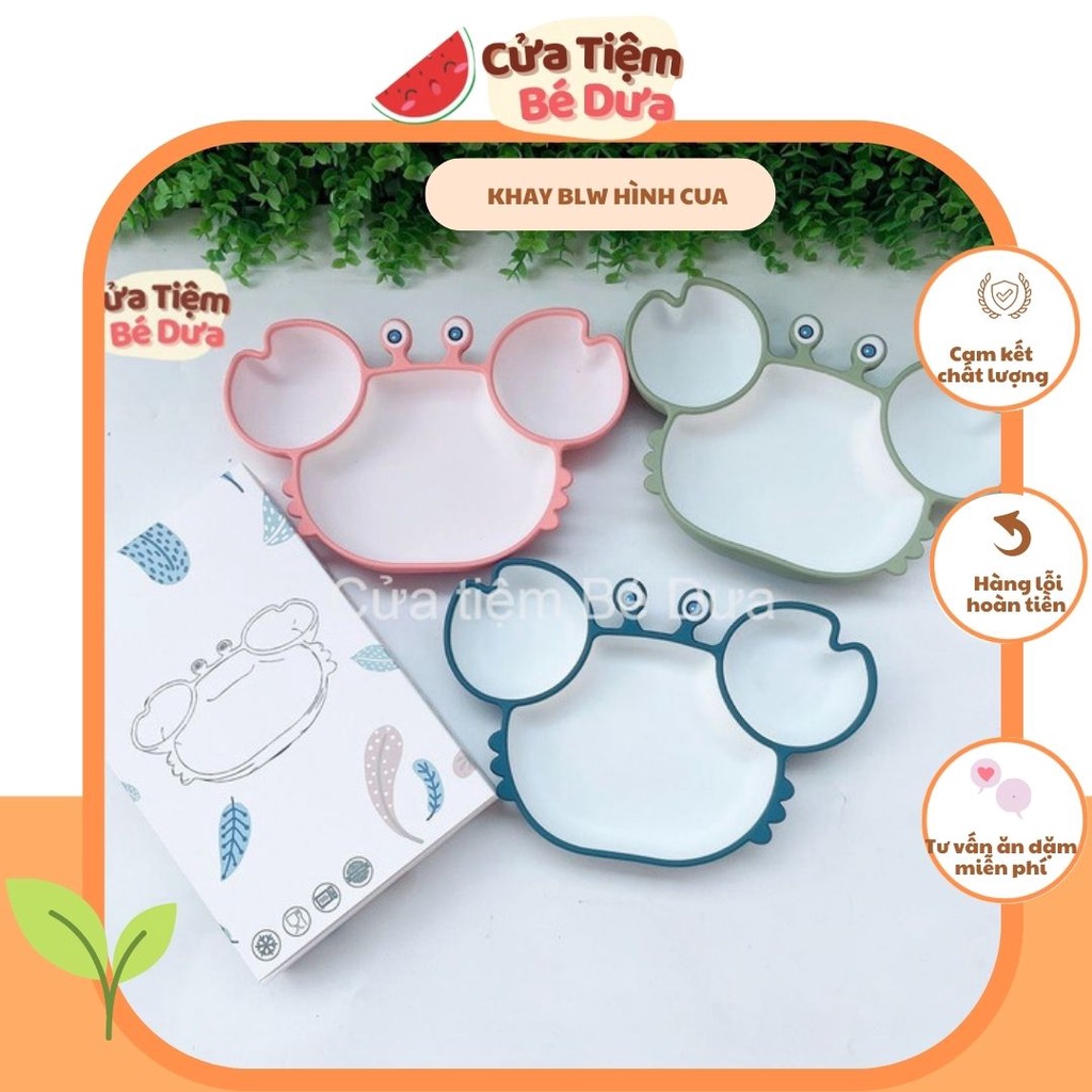 Khay Ăn Dặm BLW Silicon Chống Đổ Cao Cấp Có Đế Hút Chân Không - Khay Cua, Khay Gấu