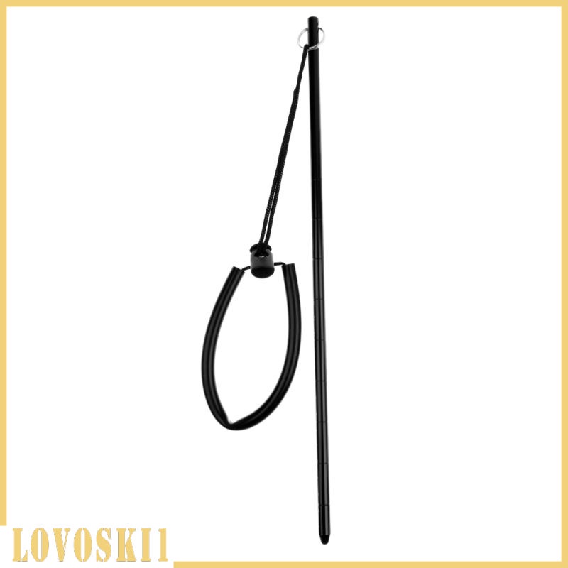 Gậy chỉ bằng hợp kim nhôm siêu nhẹ có dây đeo cổ tay 34cm/ 13.4" | BigBuy360 - bigbuy360.vn