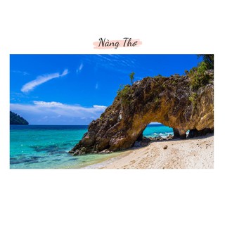 DECAL DÁN HỒ CÁ_THIÊT KẾ NÀNG THƠ