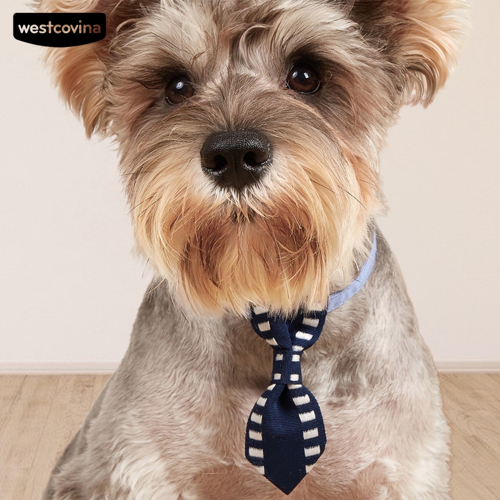 Vòng Cổ Mềm Mại Trơn Màu Trang Trí Đáng Yêu Cho Thú Cưng